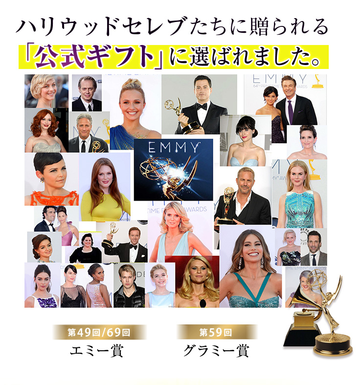 楽天ランキング総合1位受賞